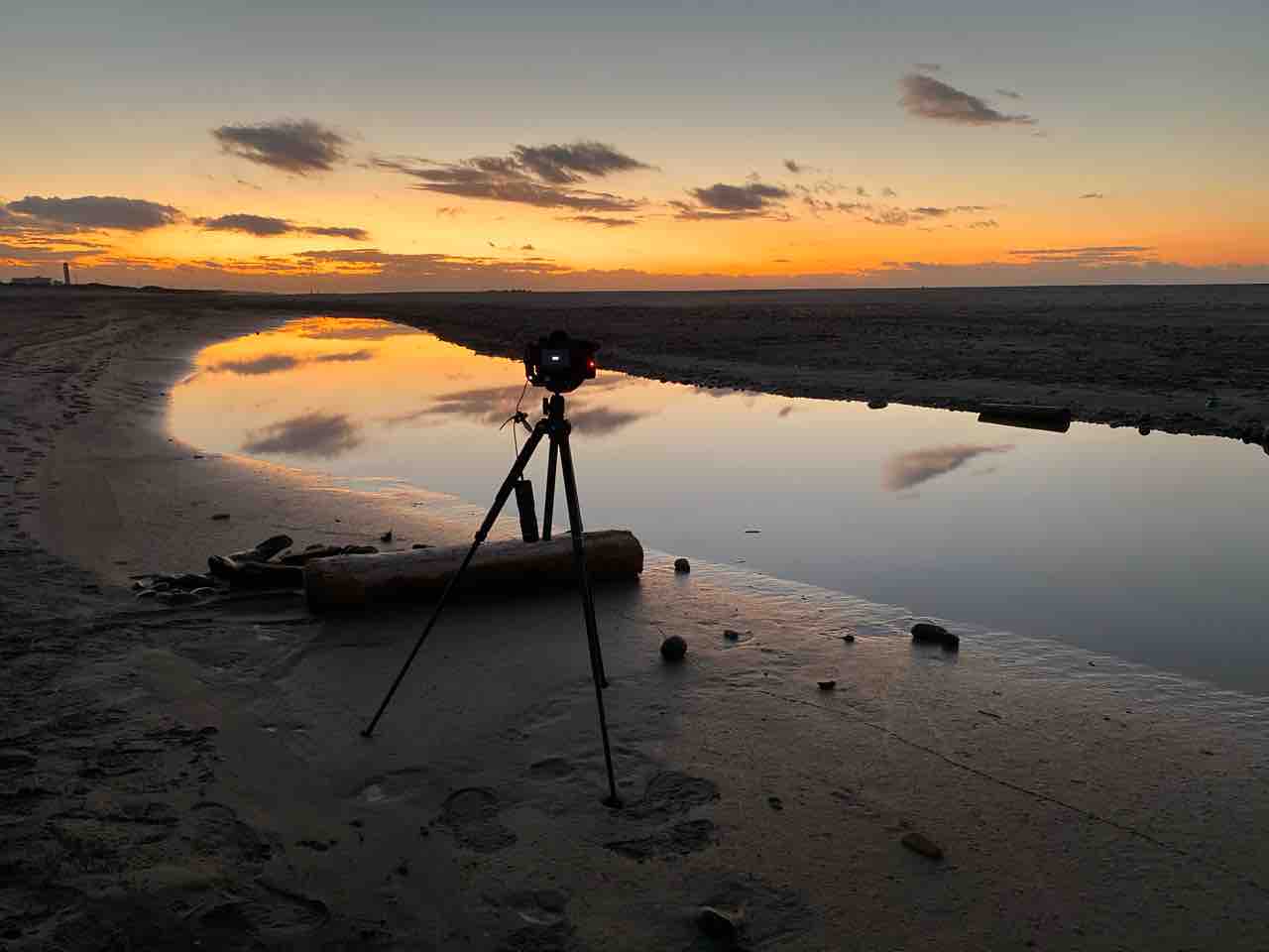 中田島砂丘 弁天島海浜公園 撮影行 撮り記 食い記