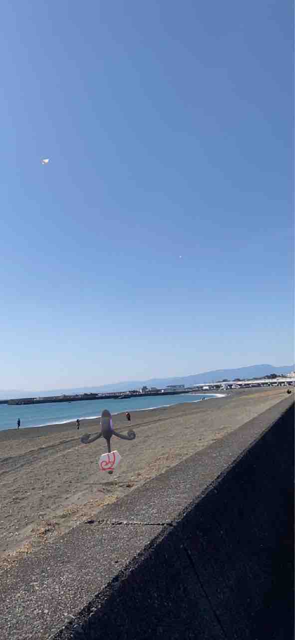 えびや食堂 大磯 自転車