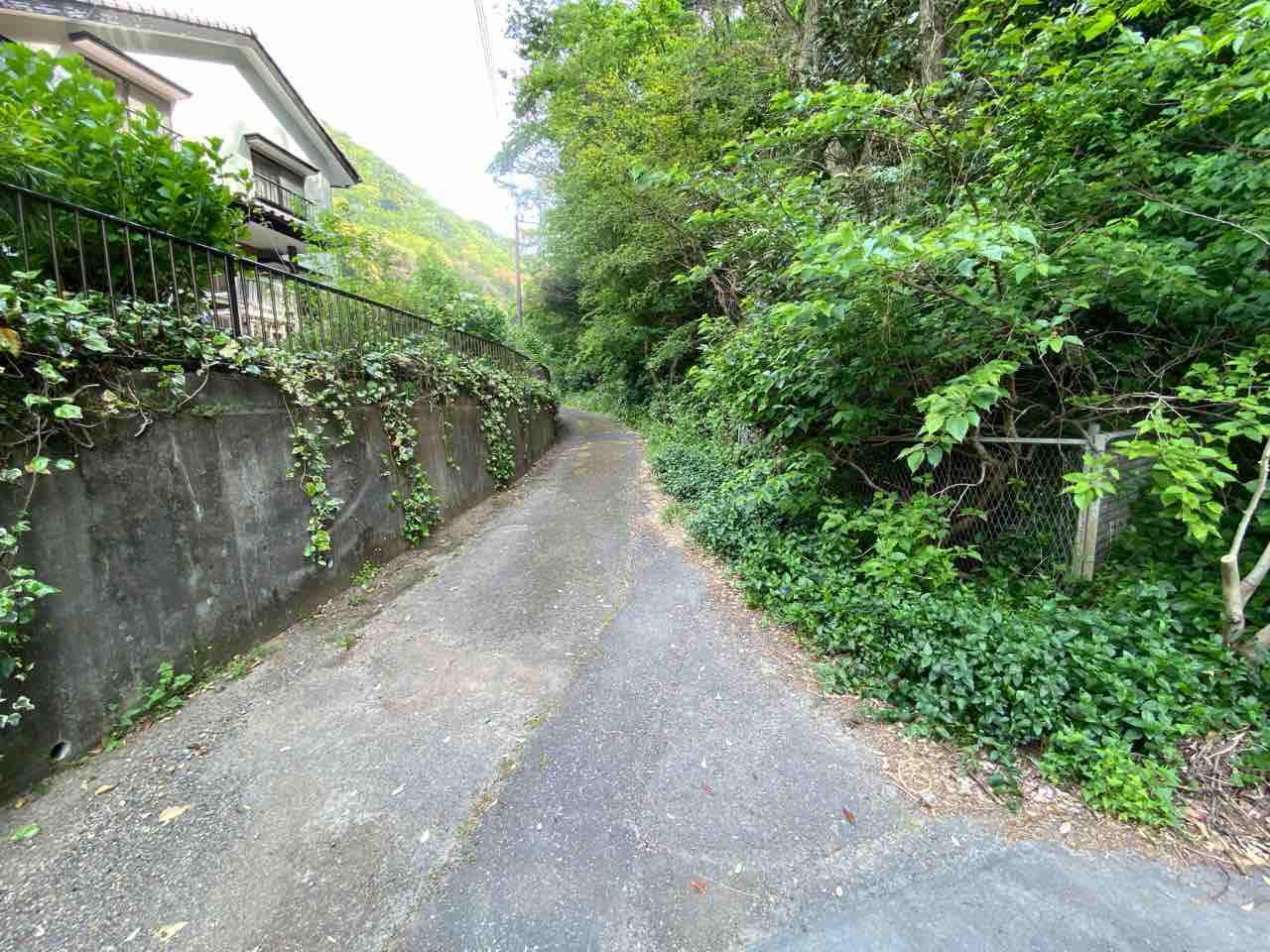 伏見稲荷神社 大磯町 撮り記 食い記