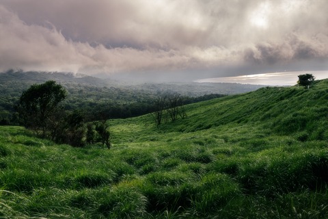 一人飯@平野の浜 : 撮り記・食い記 