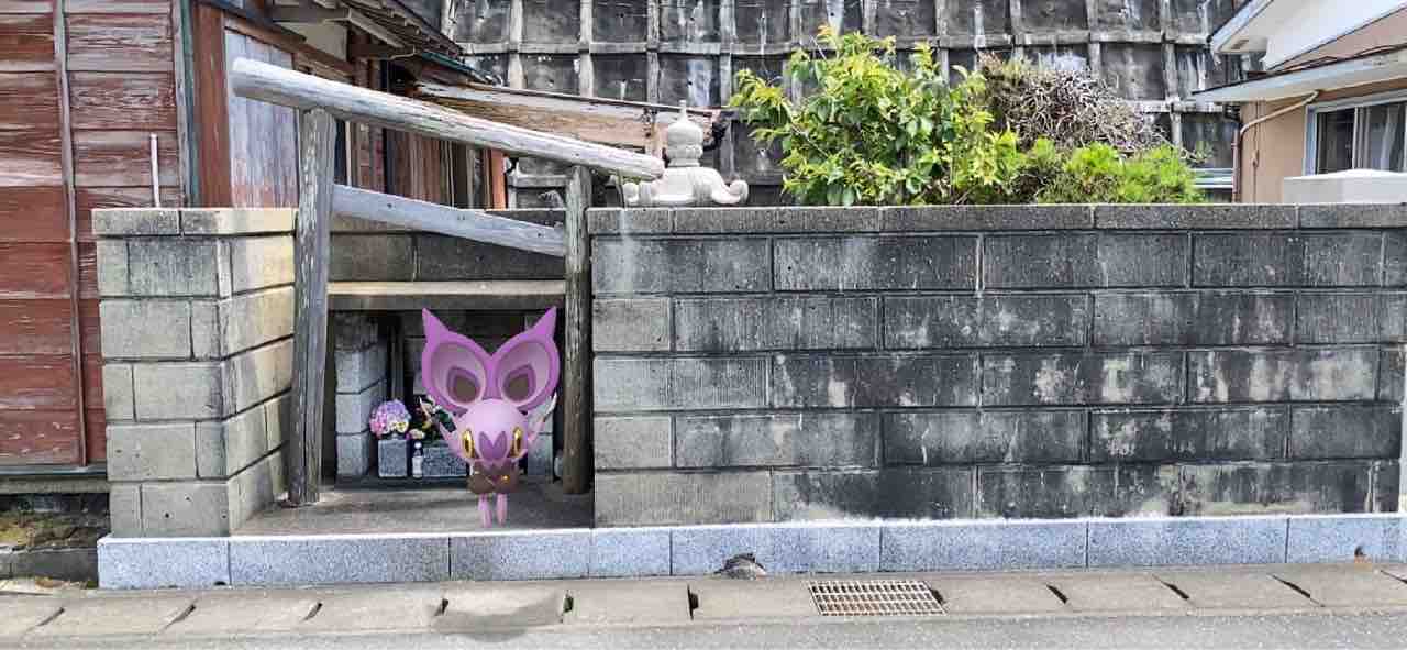 相浜亭 館山市 撮り記 食い記 相浜亭 館山市 撮り記 食い記