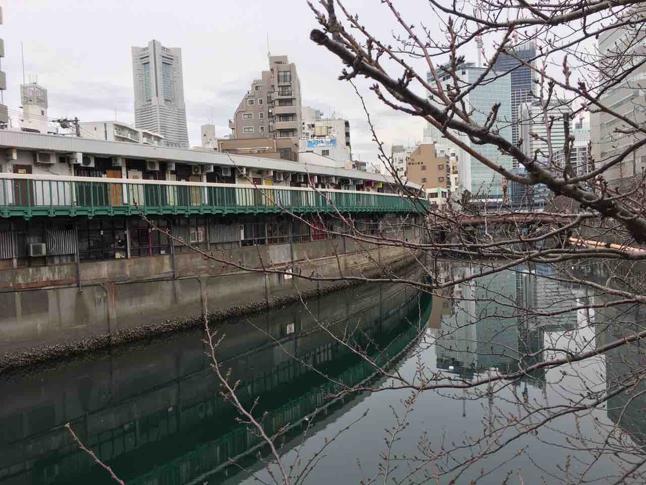 都橋商店街ロケハン 撮影行 撮り記 食い記