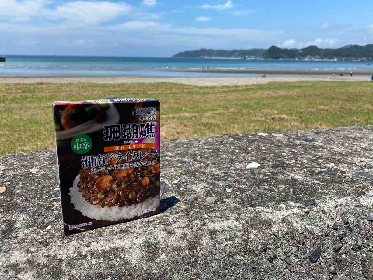 タイマイ浜 大房岬 撮影行 撮り記 食い記