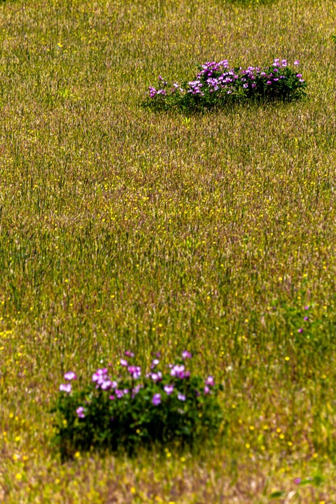IMG_6568_R