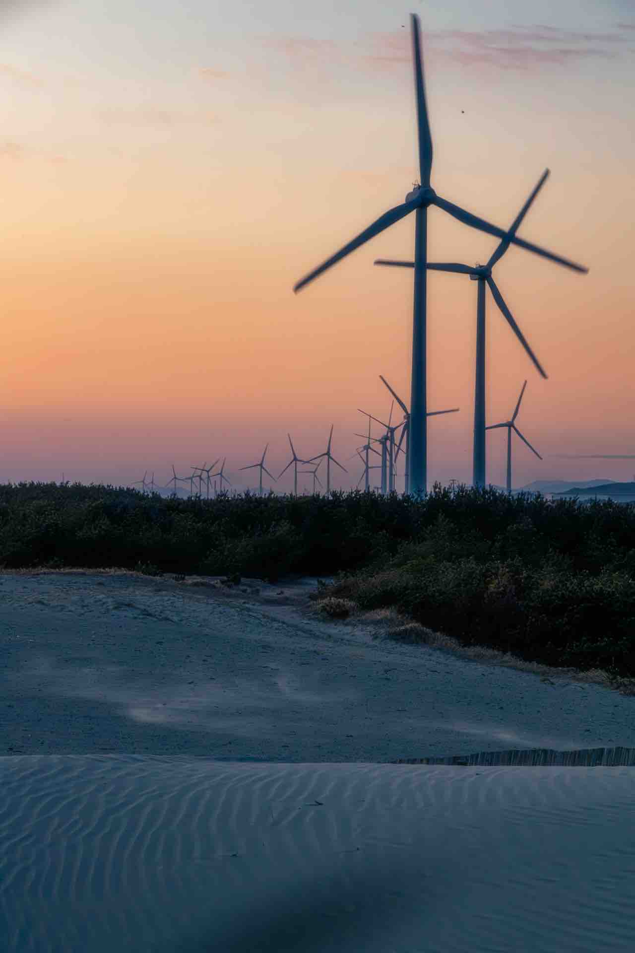 8cm CD「ひまわり／私、ここにいます。」長崎旅博覧会ＣＦイメージソング 長崎旅博覧会イメージソング 私、ここにいます。 ひ·ま·わ·り