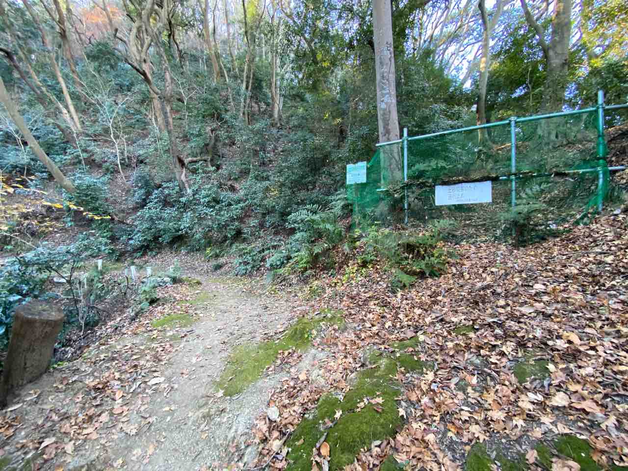 高麗山公園 湘南平頂上広場 ウォーキング 撮り記 食い記