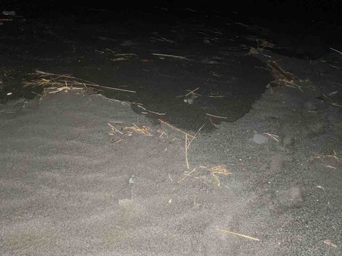 相模川河口の砂州 撮影行 天の川 撮り記 食い記