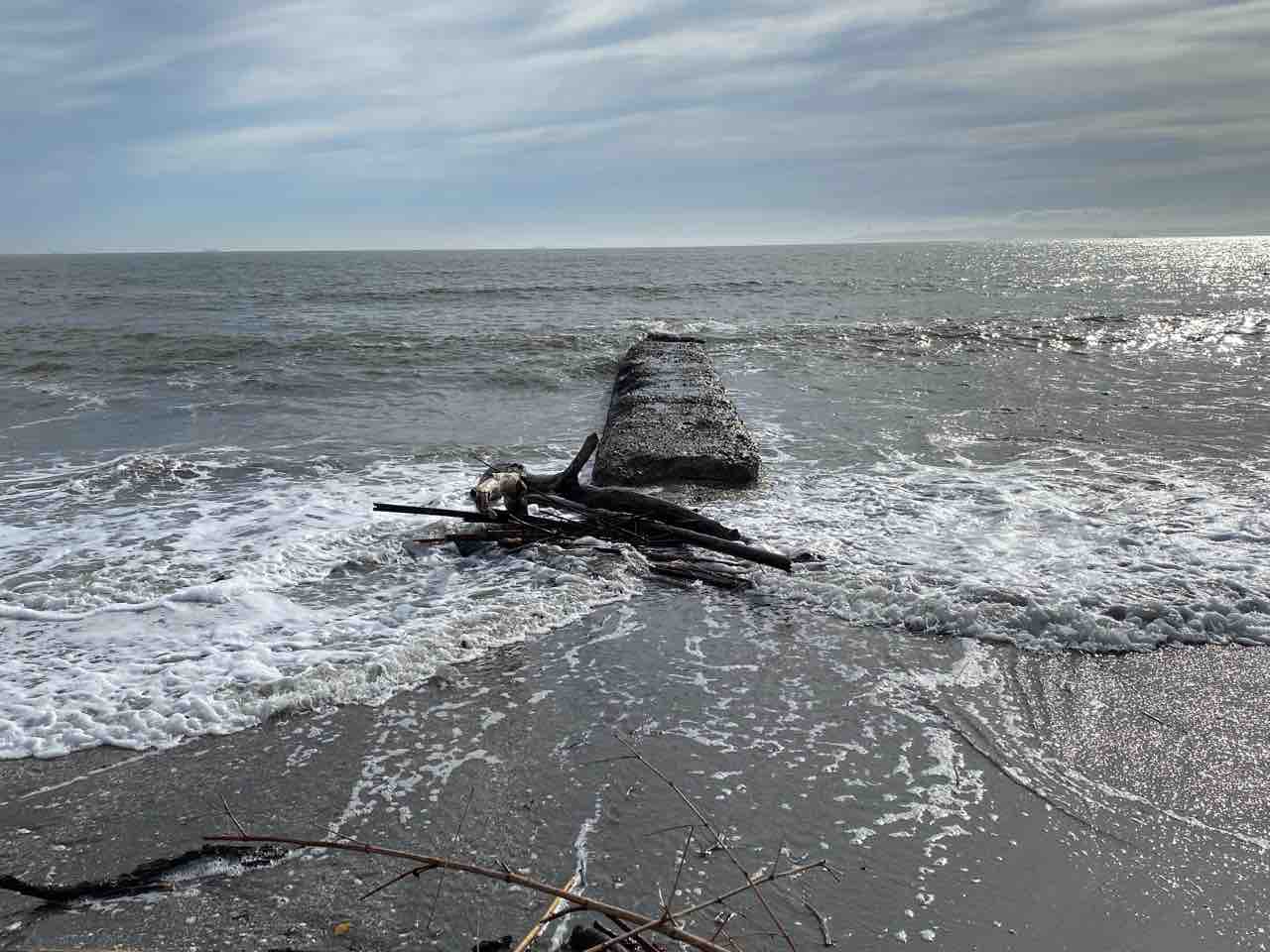 新舞子海水浴場 撮影行 ロケハン 草原海岸 撮影行 川代棚田 ロケハン失敗 撮り記 食い記