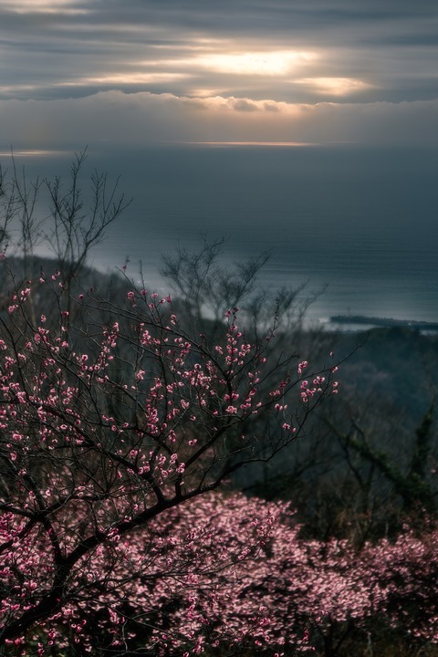 IMG_0116-CR2_DxO_DeepPRIME_R