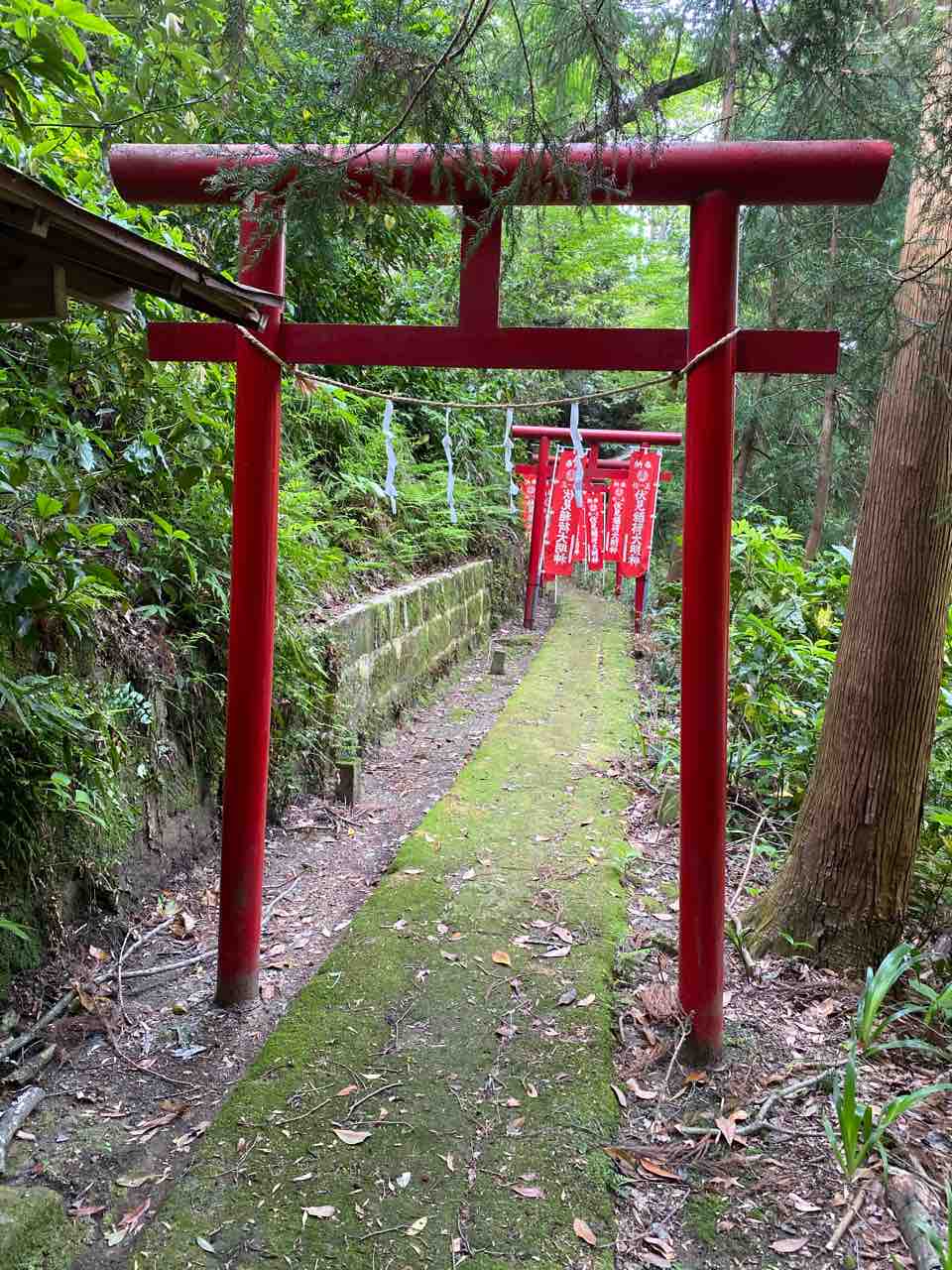 伏見稲荷神社 大磯町 撮り記 食い記