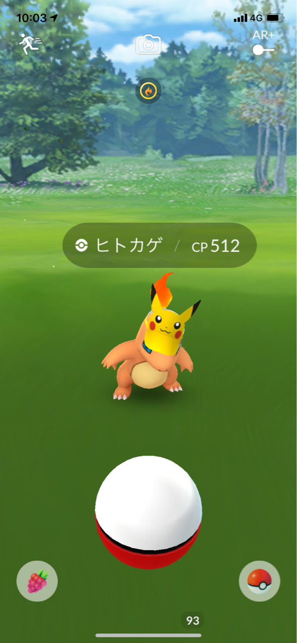 Pokemon Go Fest 撮り記 食い記