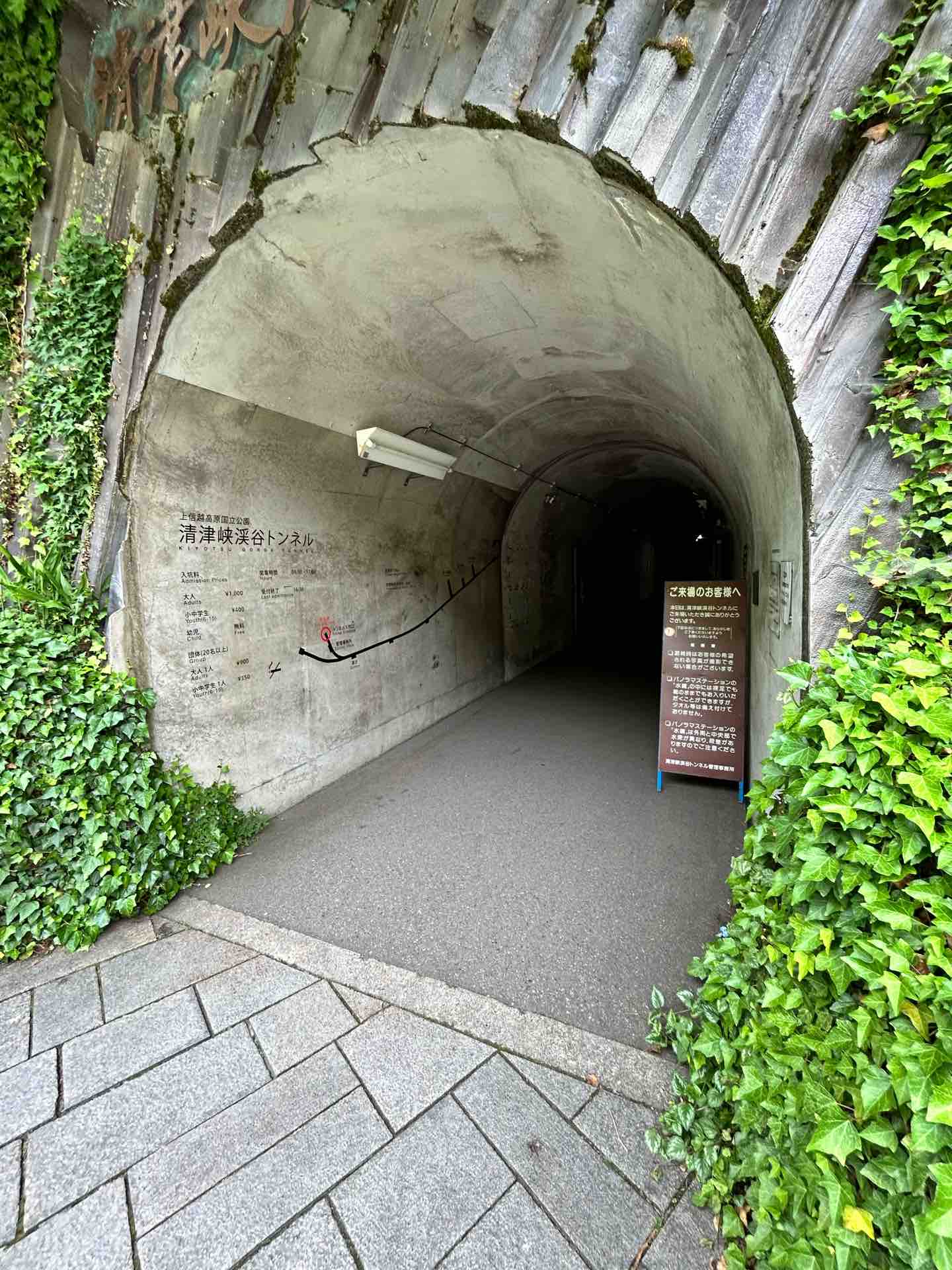 インフェルノX まとめ売り1(バラok!!)ポケモン草~闘 インフェルノX まとめ売り1(バラok!!)ポケモン草~闘 全商品 | 福