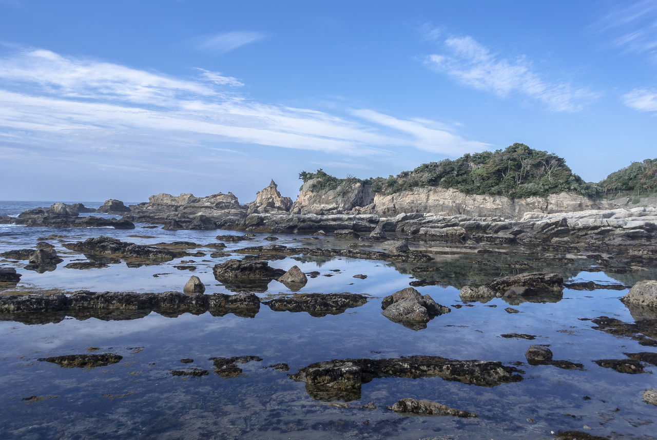 南房総ロケハン 太海 和田浦 千倉 野島崎 根本海岸 原岡海岸 雀島 撮り記 食い記