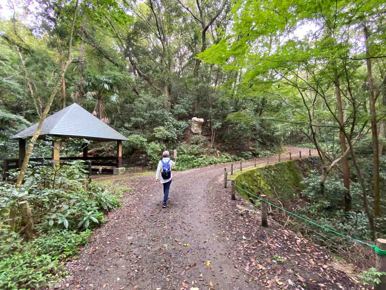 吾妻山公園 ピクニック 撮り記 食い記