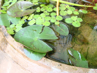 DSC08945