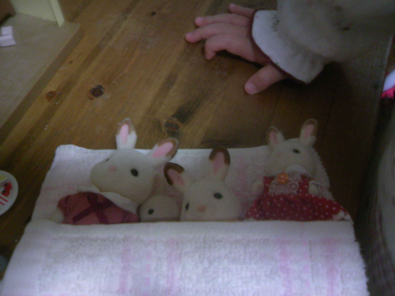 シルバニアファミリーで大爆笑 すくすく日記