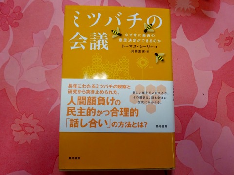 fullsizeoutput_da8