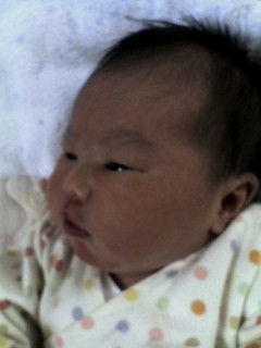 赤ちゃん ﾟ艸ﾟ ﾟさちれぽﾟ ﾐ