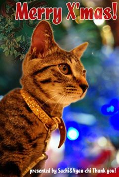 にゃんちークリスマス