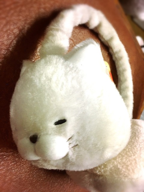 コミケ_170109_0024