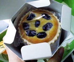 CA392556