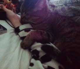 110312_0320~01