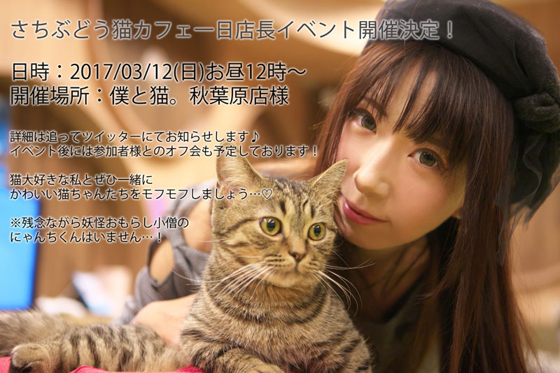 さちぶどう、どう？ : 【3/12（日）昼12時～さちぶどう秋葉原猫カフェ 
