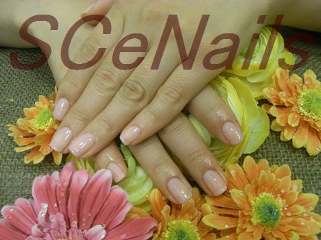 はるな愛さんhand Footジェルネイル 恵比寿 Scenails