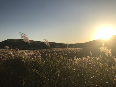 09211FA5-C3DF-4784-8EA4-AD65685FD6BD