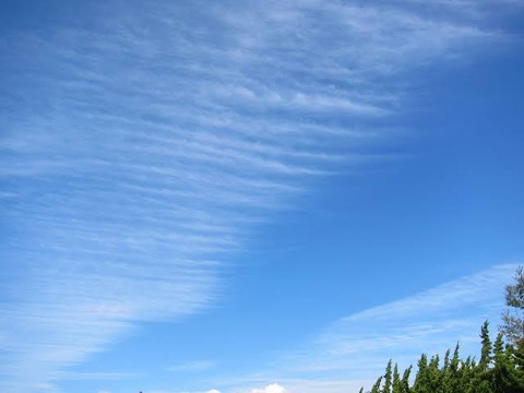 ED2AE941-4267-48C8-A4A8-5DE80F7AAD03