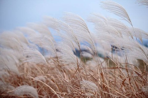 82582719-2A4D-4875-9982-4BA1FAA30D55