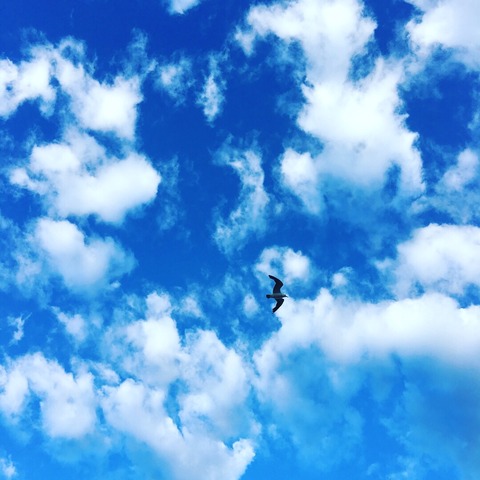 2017-07-13-17-51-55