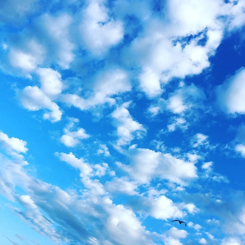 2017-07-13-17-51-39