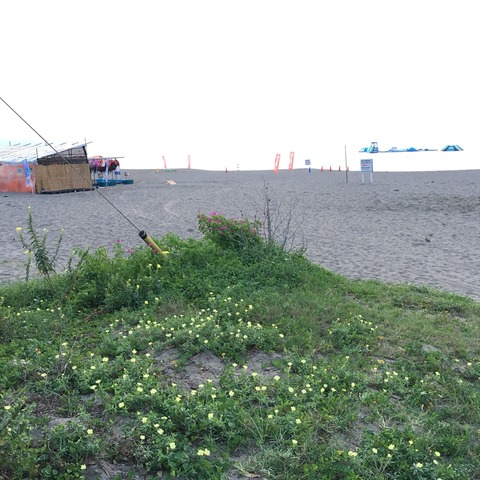 2017-08-22-05-08-16