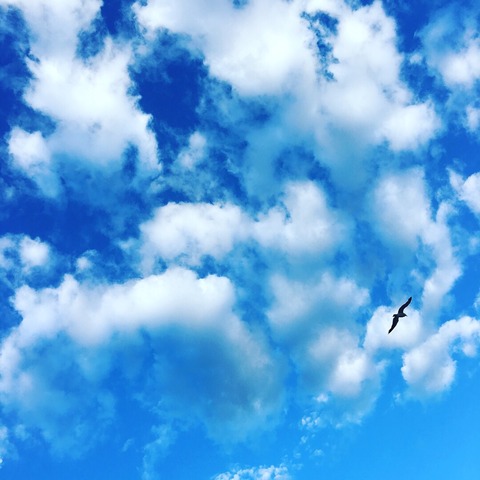 2017-07-13-17-51-56