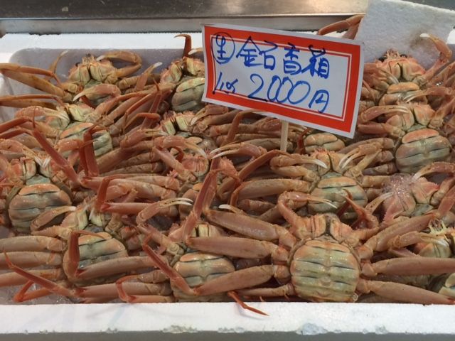 冬旅 金沢 のどぐろが安い 金沢港いきいき魚市 Holoholo Days 旅 ときどきラン