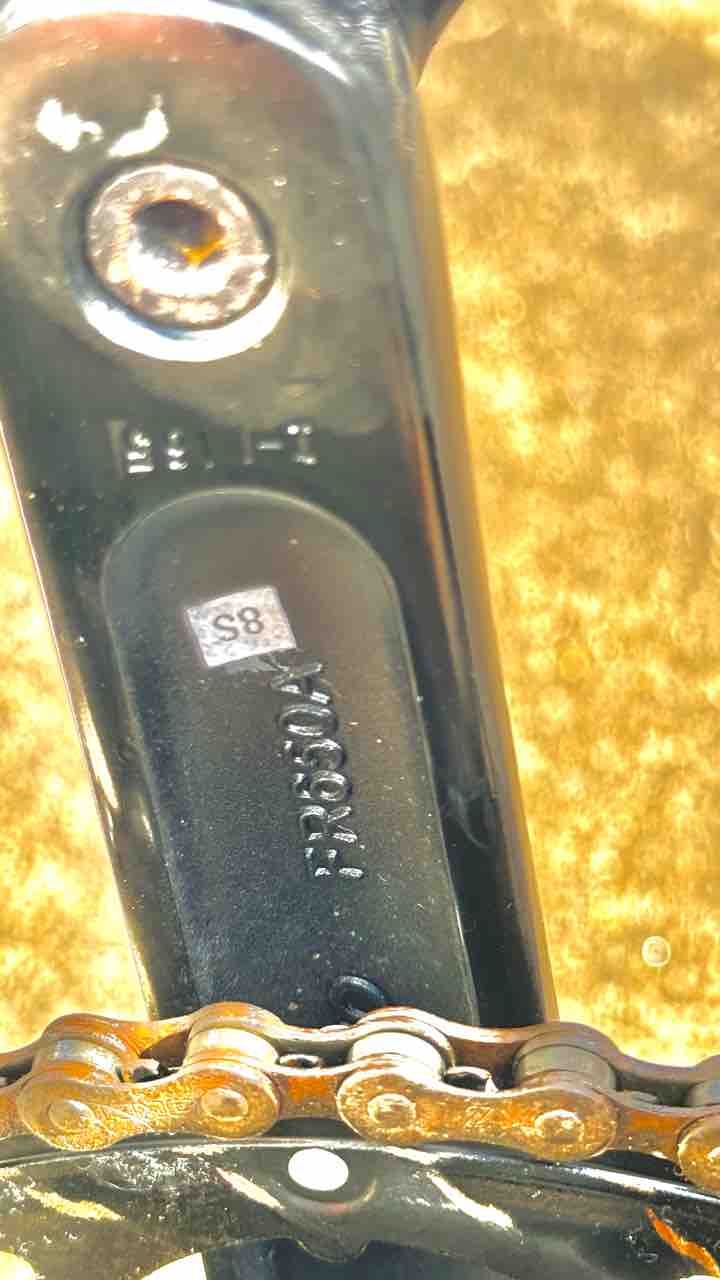 レユニオンコーレル レユニオンコーレルK チェーンリング交換編 : 撲殺 Spinner-Handle