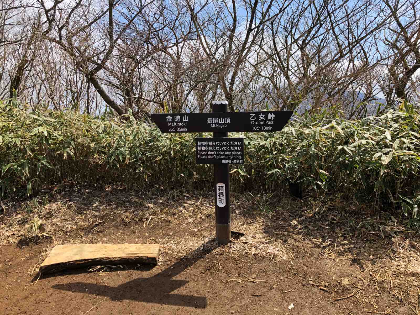 箱根ぶらり一人旅 箱根外輪山一周トレラン 後編 What Will Be Will Be