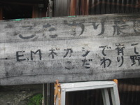 エントリ画像