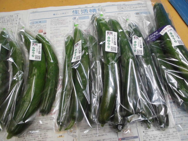 こだわり親父の野菜作り:今日の収穫 - livedoor Blog（ブログ）