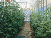 CIMG2947