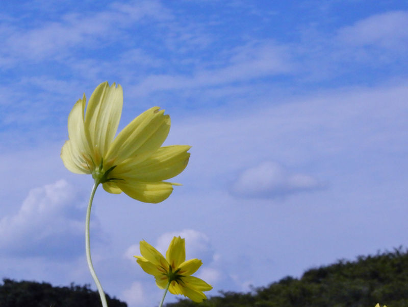 ⑪3-DSCN2709ーｔB