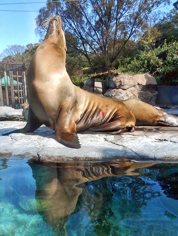 ①３-DSCN2989(私が主役）-B