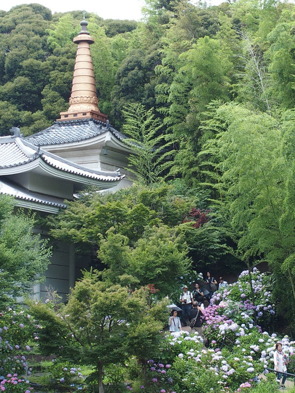 P6210125B⑥