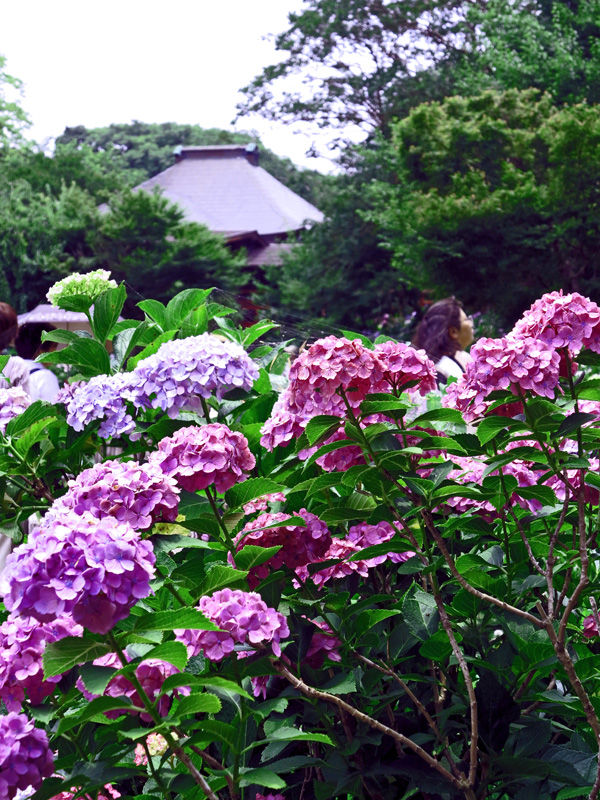 IMG_4733-2B⑧