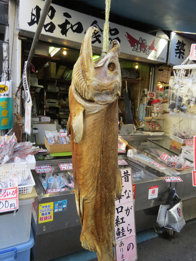 ⑧IMG_7506B