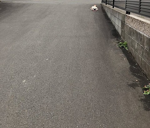 no title