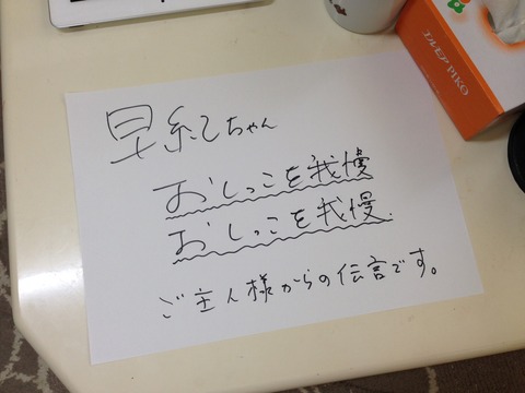 写真
