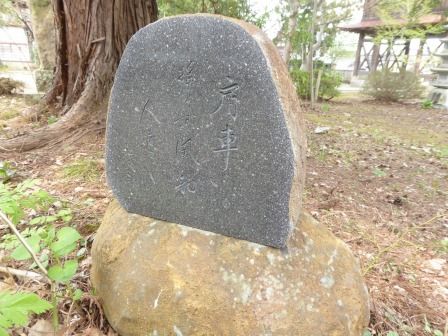 イメージ 7