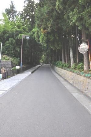 イメージ 14